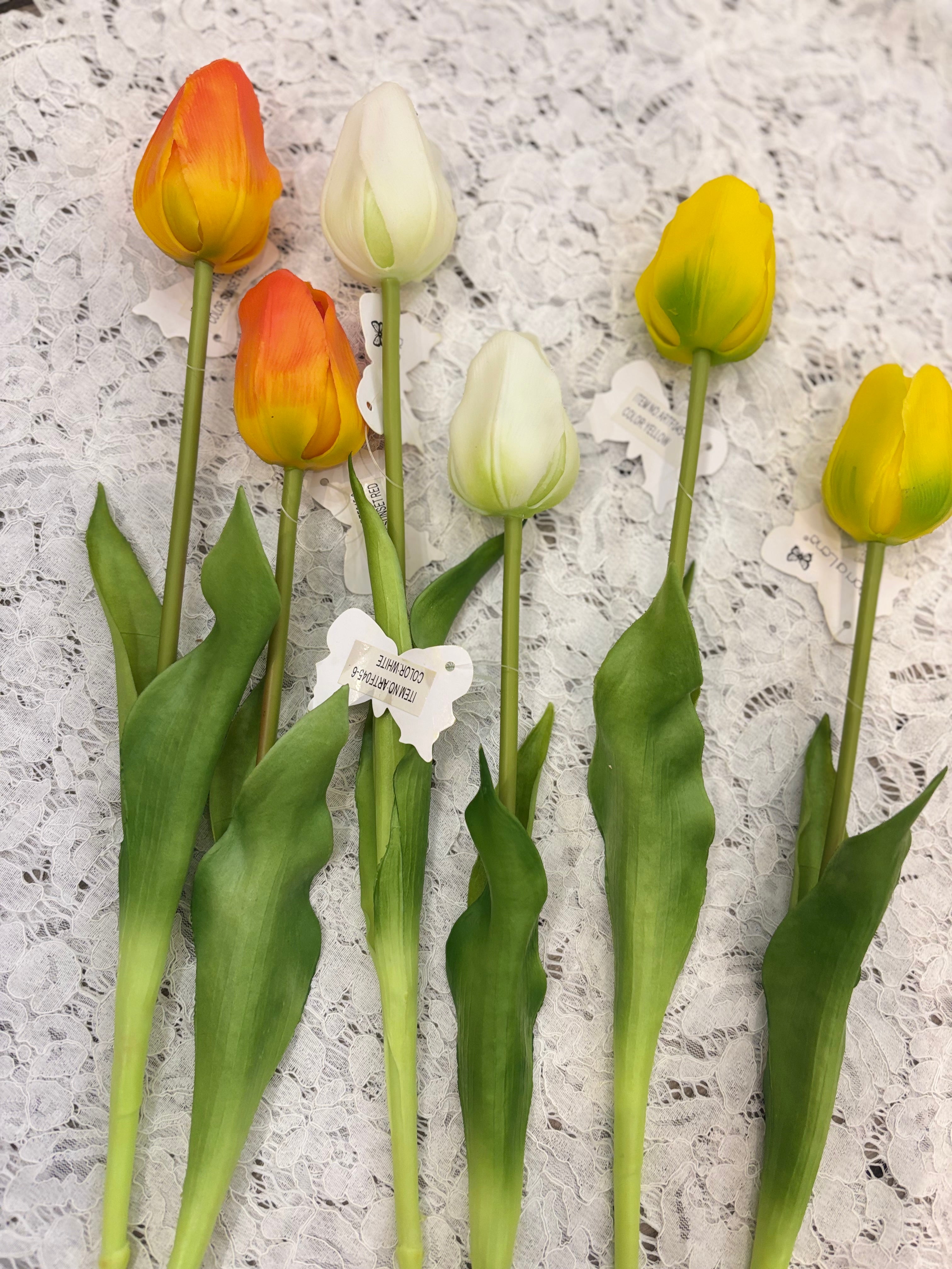 Fiori di Lena tulipano singolo chiuso con varianti colore