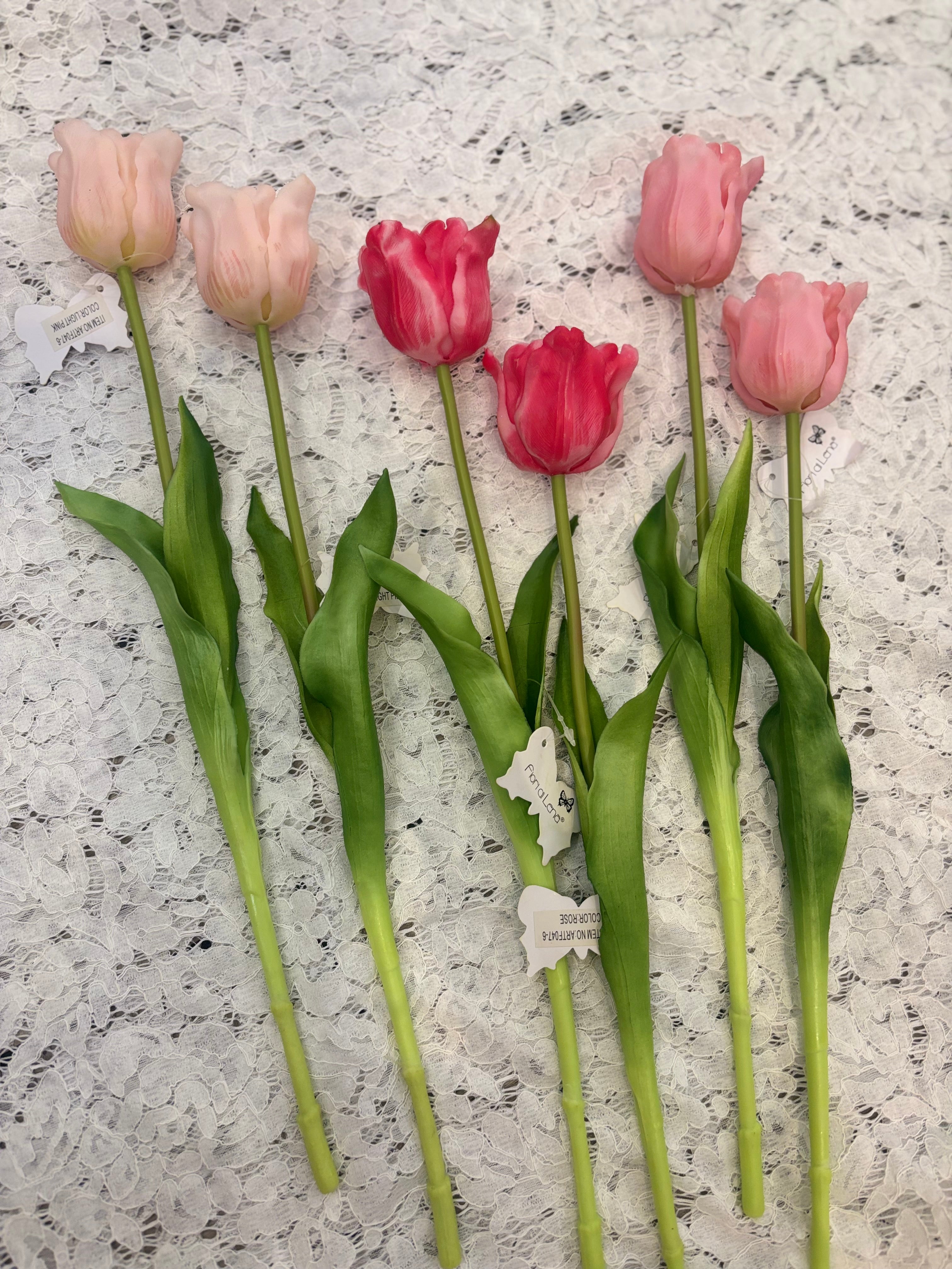 Fiori di Lena tulipano singolo aperto con varianti colore