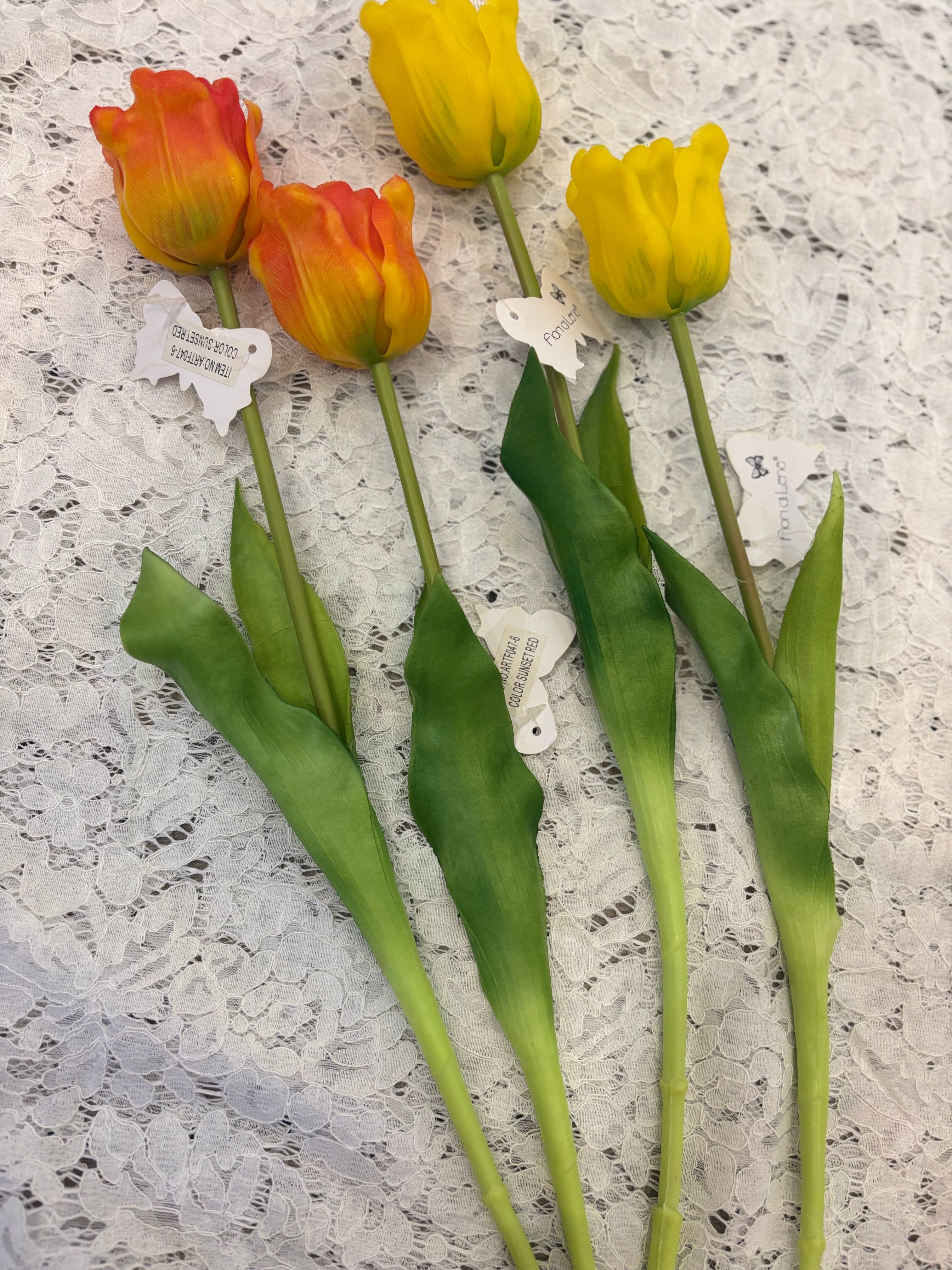 Fiori di Lena tulipano singolo aperto con varianti colore