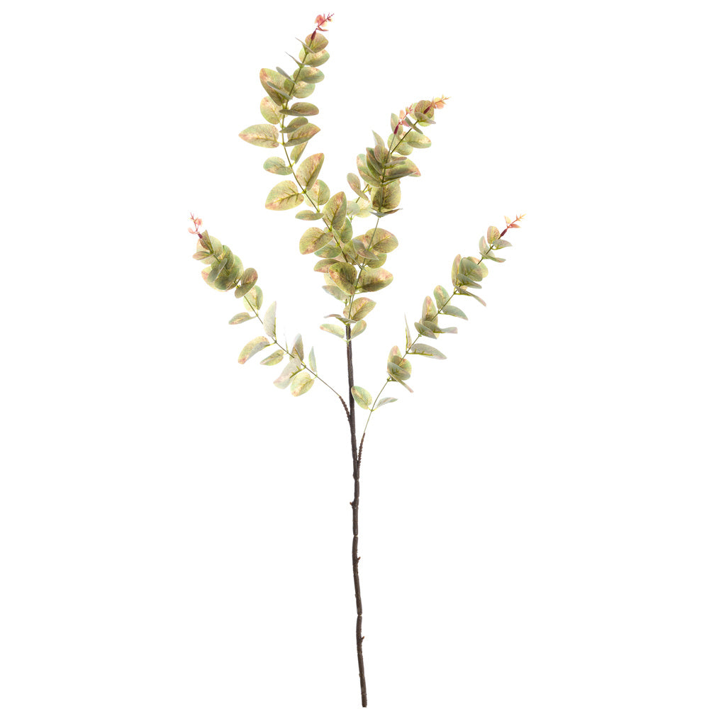 Blanc Mariclo decoro floreale eucalipto
