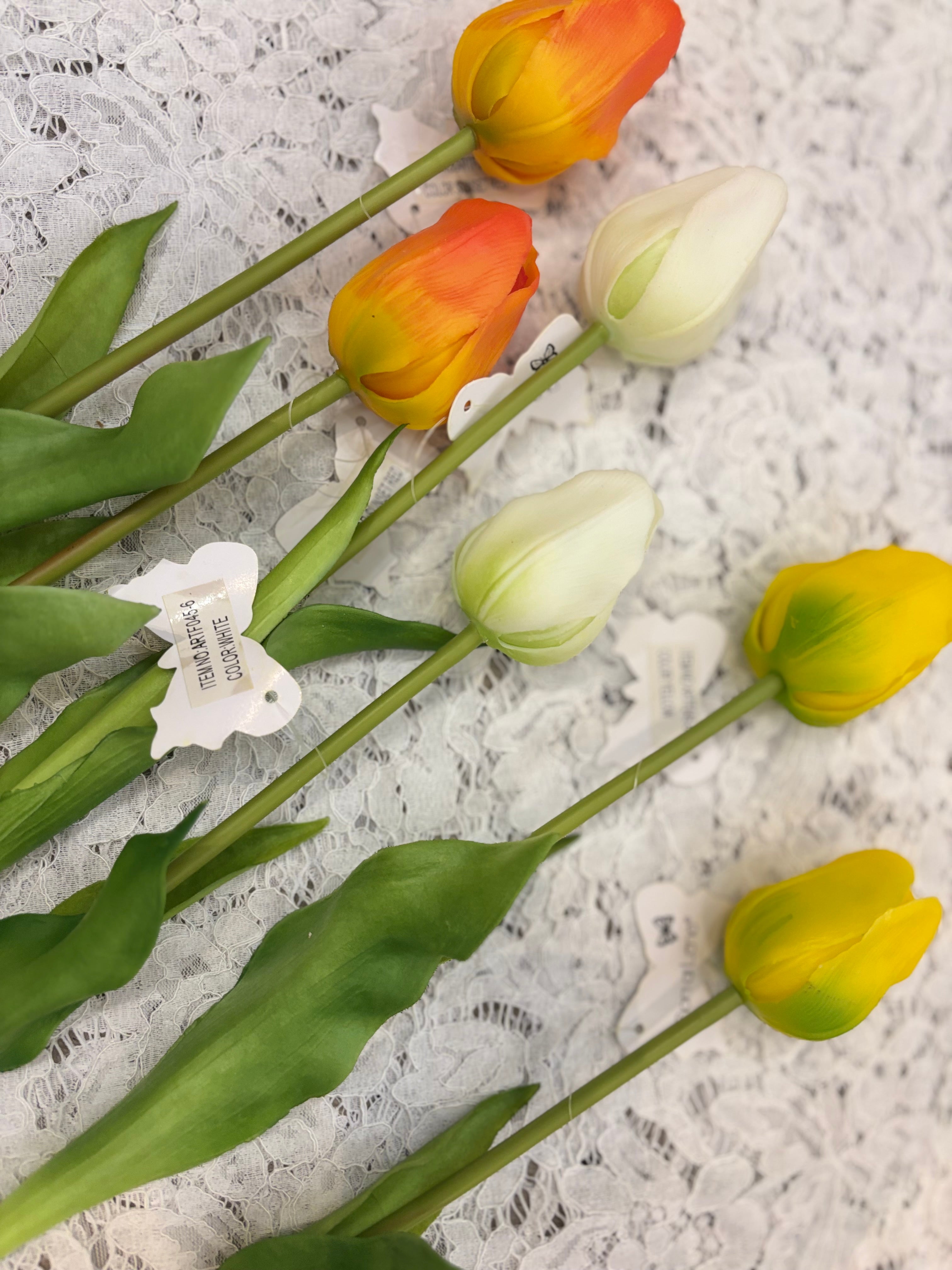 Fiori di Lena tulipano singolo chiuso con varianti colore