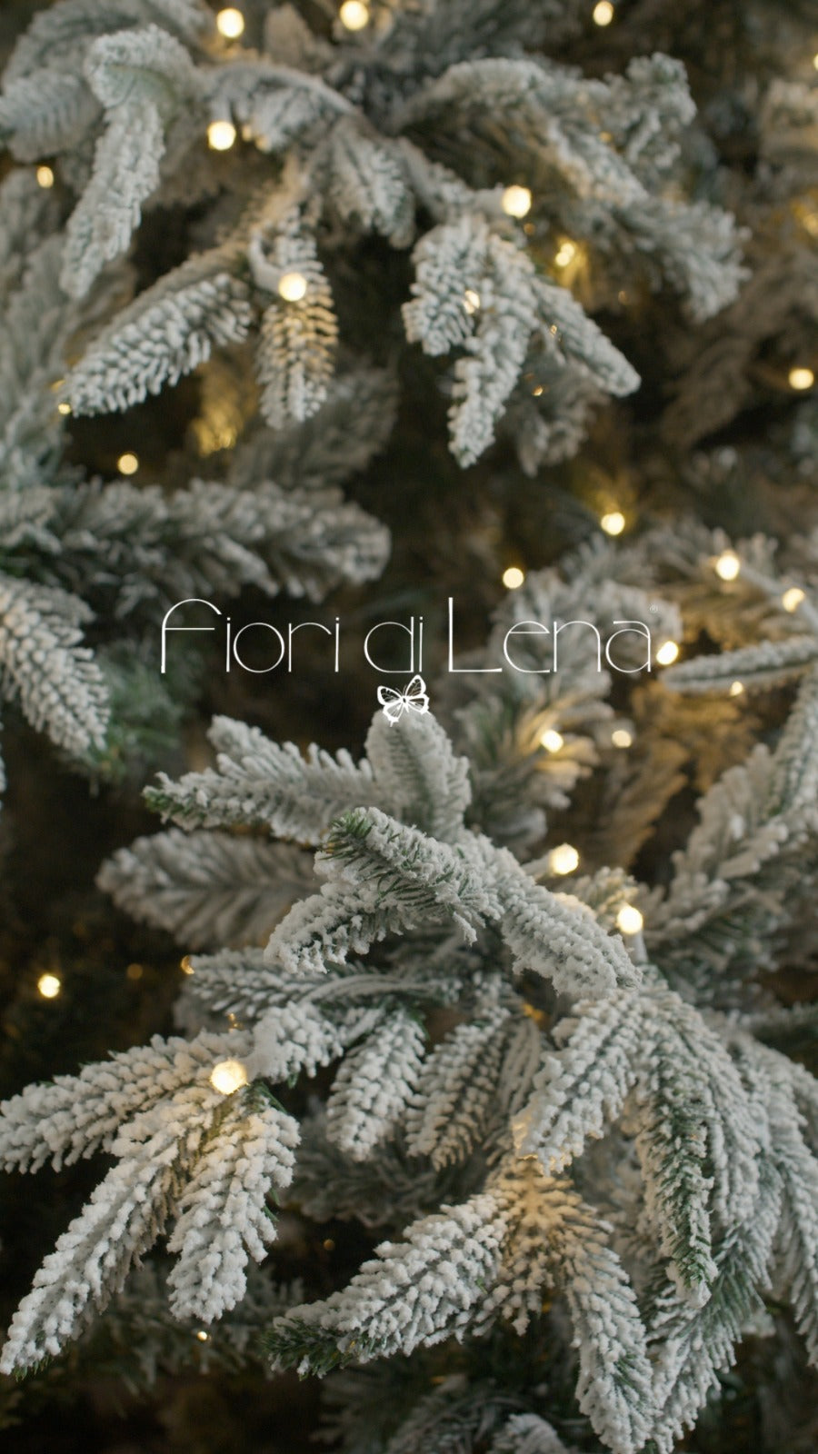 Fiori di lena albero di natale Pino Vancoeur 180 cm con led